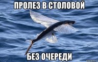 пролез в столовой без очереди