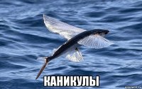  каникулы