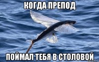 когда препод поймал тебя в столовой
