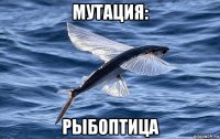 мутация: рыбоптица