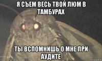 я съем весь твой люм в тамбурах ты вспомнишь о мне при аудите