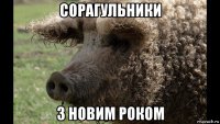 сорагульники з новим роком