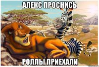 алекс проснись роллы приехали