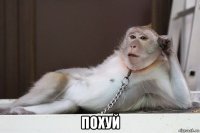  похуй