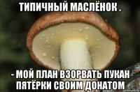 типичный маслёнок . - мой план взорвать пукан пятёрки своим донатом