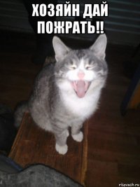 хозяйн дай пожрать!! 