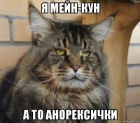 я мейн-кун а то анорексички