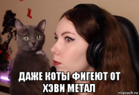  даже коты фигеют от хэви метал