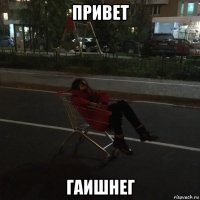 привет гаишнег