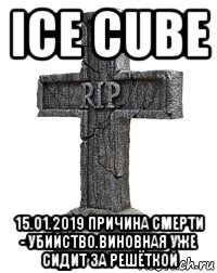ice cube 15.01.2019 причина смерти - убийство.виновная уже сидит за решёткой