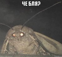 че бля? 