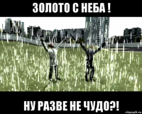 золото с неба ! ну разве не чудо?!