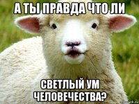 а ты правда что ли светлый ум человечества?