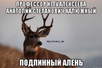 профессор нгту алексеева анатолий степанович калюжный подлинный алень