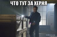 что тут за херня 