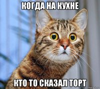 когда на кухне кто то сказал торт