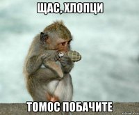 щас, хлопци томос побачите