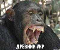  древний укр