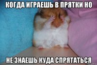 когда играешь в прятки но не знаешь куда спрятаться