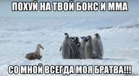 похуй на твой бокс и mma со мной всегда моя братва!!!