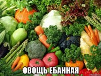  овощь ебанная