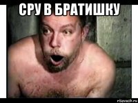 сру в братишку 