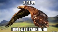 я лечу там где правильно
