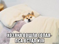  хозяка вошла голая- пса встал йух