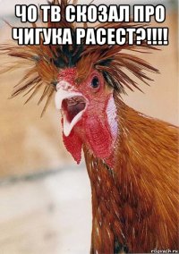 чо тв скозал про чигука расест?!!!! 