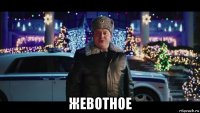  жевотное