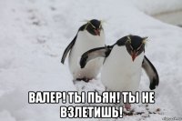  валер! ты пьян! ты не взлетишь!