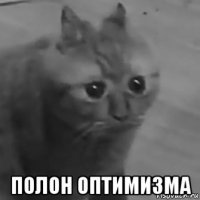  полон оптимизма