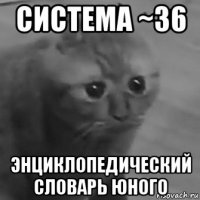 система ~36 энциклопедический словарь юного