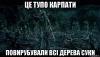 це тупо карпати повирубували всі дерева суки