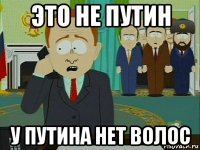 это не путин у путина нет волос