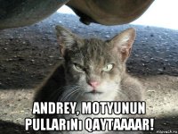  andrey, motyunun pullarını qaytaaaar!
