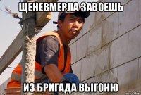 щеневмерла завоешь из бригада выгоню