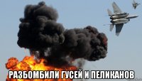  разбомбили гусей и пеликанов