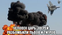  человек царь-зверей: разбомбили львов и тигров