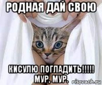 родная дай свою кисулю погладить!!!!! мур, мур.