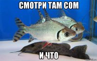 смотри там сом и что