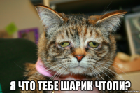  я что тебе шарик чтоли?
