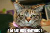  ты антикоммунист