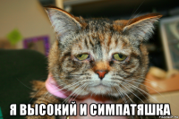  я высокий и симпатяшка