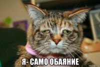  я- само обаяние