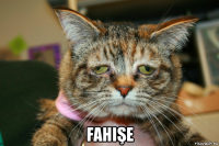  fahişe