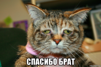  спасибо брат