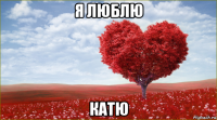 я люблю катю