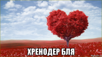  хренодер бля