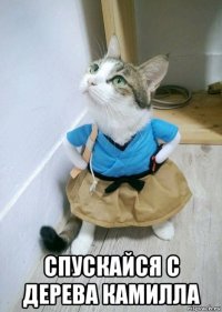  спускайся с дерева камилла
